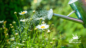 Bewässerung im Garten